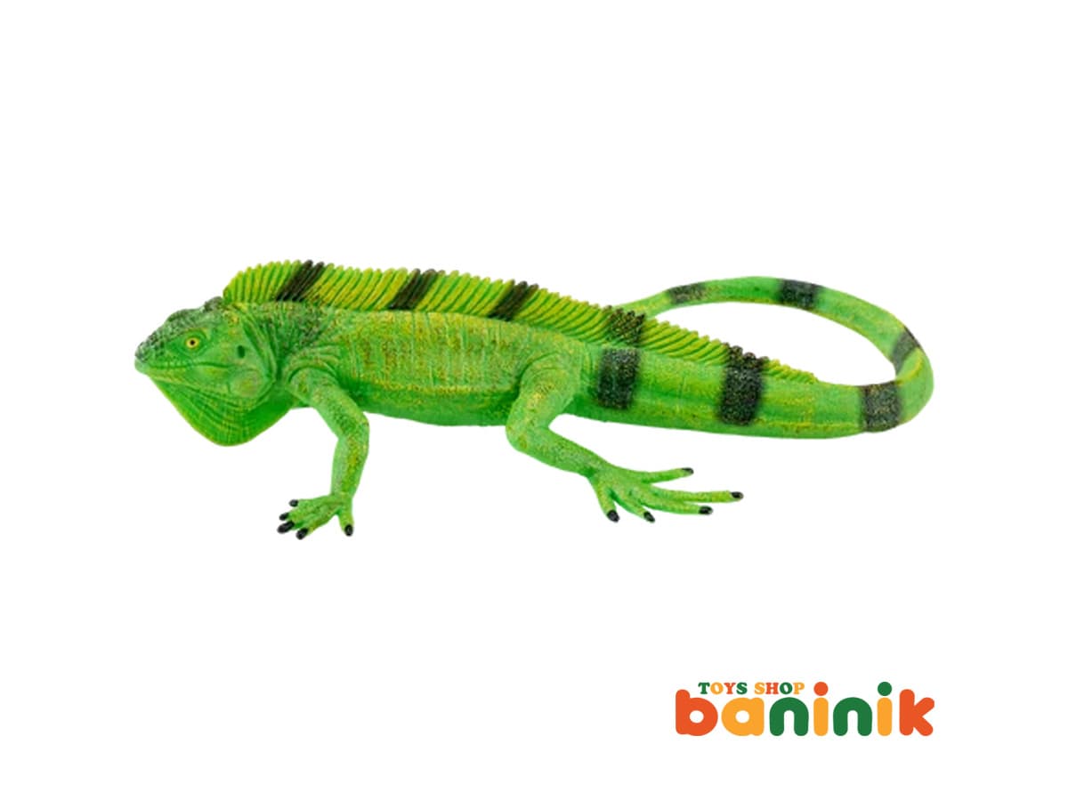 موجو فان ایگوآنا 381095 Mojo Iguana