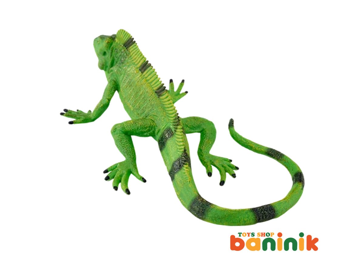 موجو فان ایگوآنا 381095 Mojo Iguana — تصویر ۳