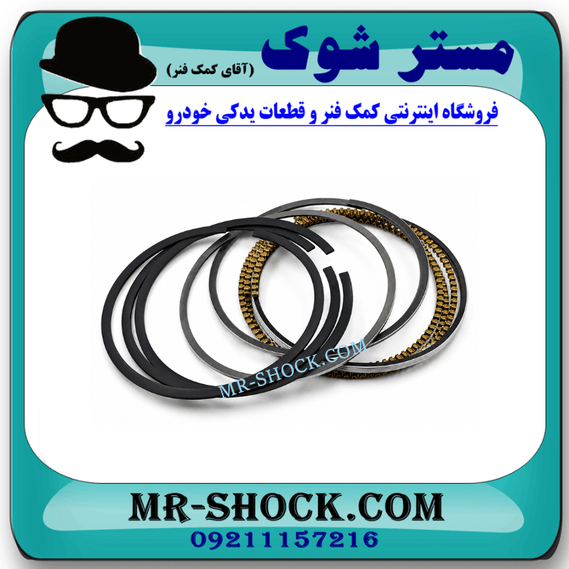 رینگ موتور نیسان پیکاپ برند ساخت ژاپن با بهترین کیفیت — تصویر ۲