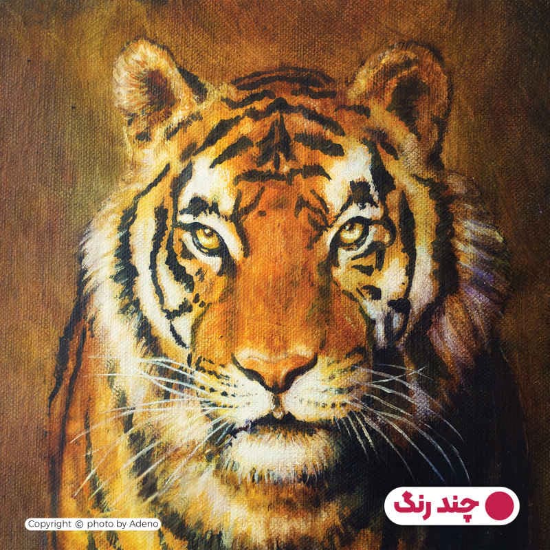 رو بالشی آدنو مدل ببر کد PR56 — تصویر ۲