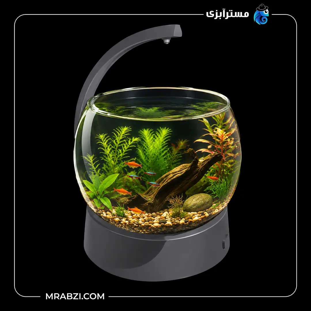 تنگ ماهی تترا مدل Betta Bowl