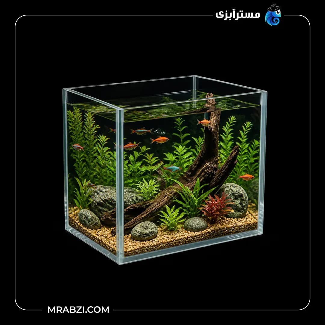آکواریوم ریملس آکوا شیشه فلوت 6 میل (30*30*30)