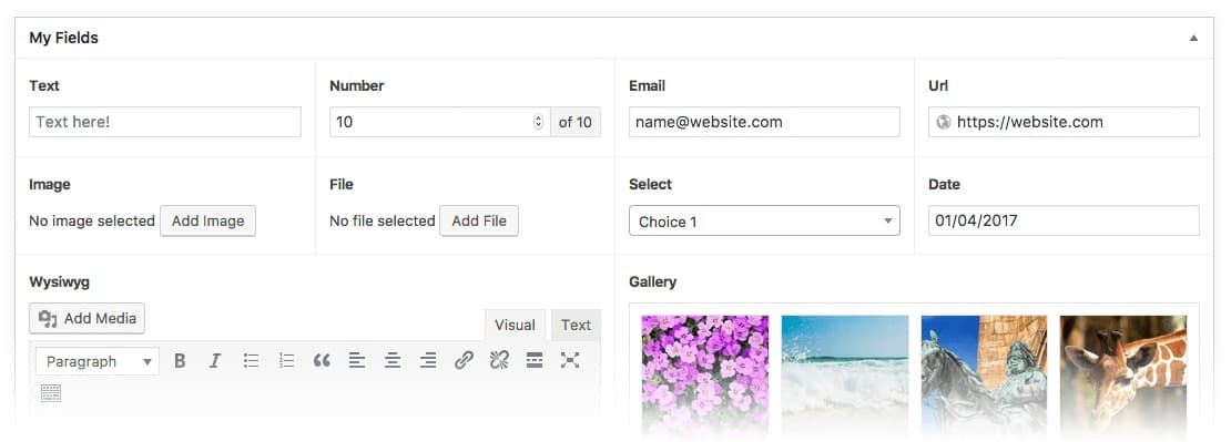 افزونه Advanced Custom Fields Pro زمینه‌های سفارشی پیشرفته + افزودنی ها 6.3.1 — تصویر ۶