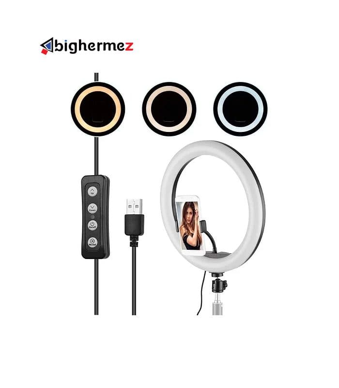 رینگ لایت 10 اینچ FLASHLIGHT پی نت