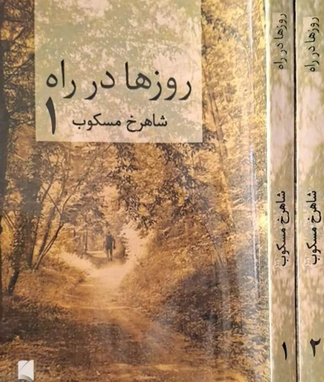 روزها در راه | شاهرخ مسکوب