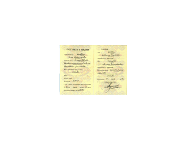 گواهی ولادت روسیه