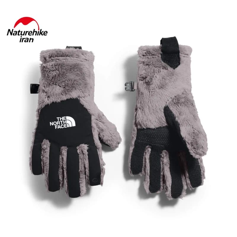 دستکش زمستانی The North Face DENALI THERMAL ETIP GLOVE