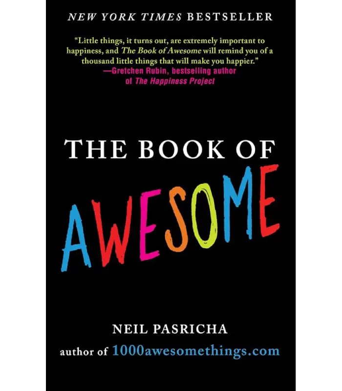 کتاب The Book of Awesome Snow Days: Finding Money in Your Pocket and Other Simple, Brilliant Things (روزهای برفی شگفت‌ انگیز) اثر نیل پاشریچا – نسخه انگلیسی PDF