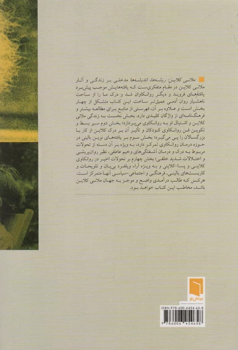کتاب ملانی کلاین ریشه ها اندیشه ها — تصویر ۲