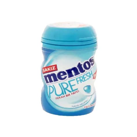 آدامس نعنایی منتوس 100 گرمی Mentos