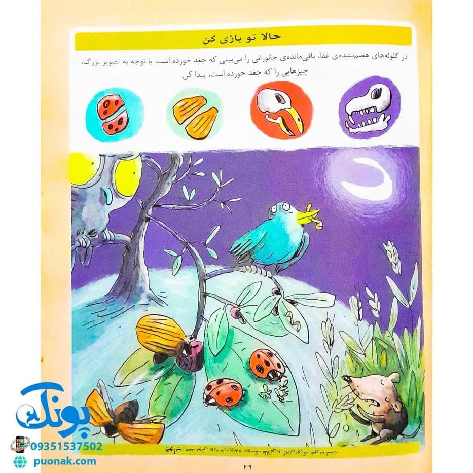 کتاب دایره المعارف علوم (کتاب های مرجع) — تصویر ۵