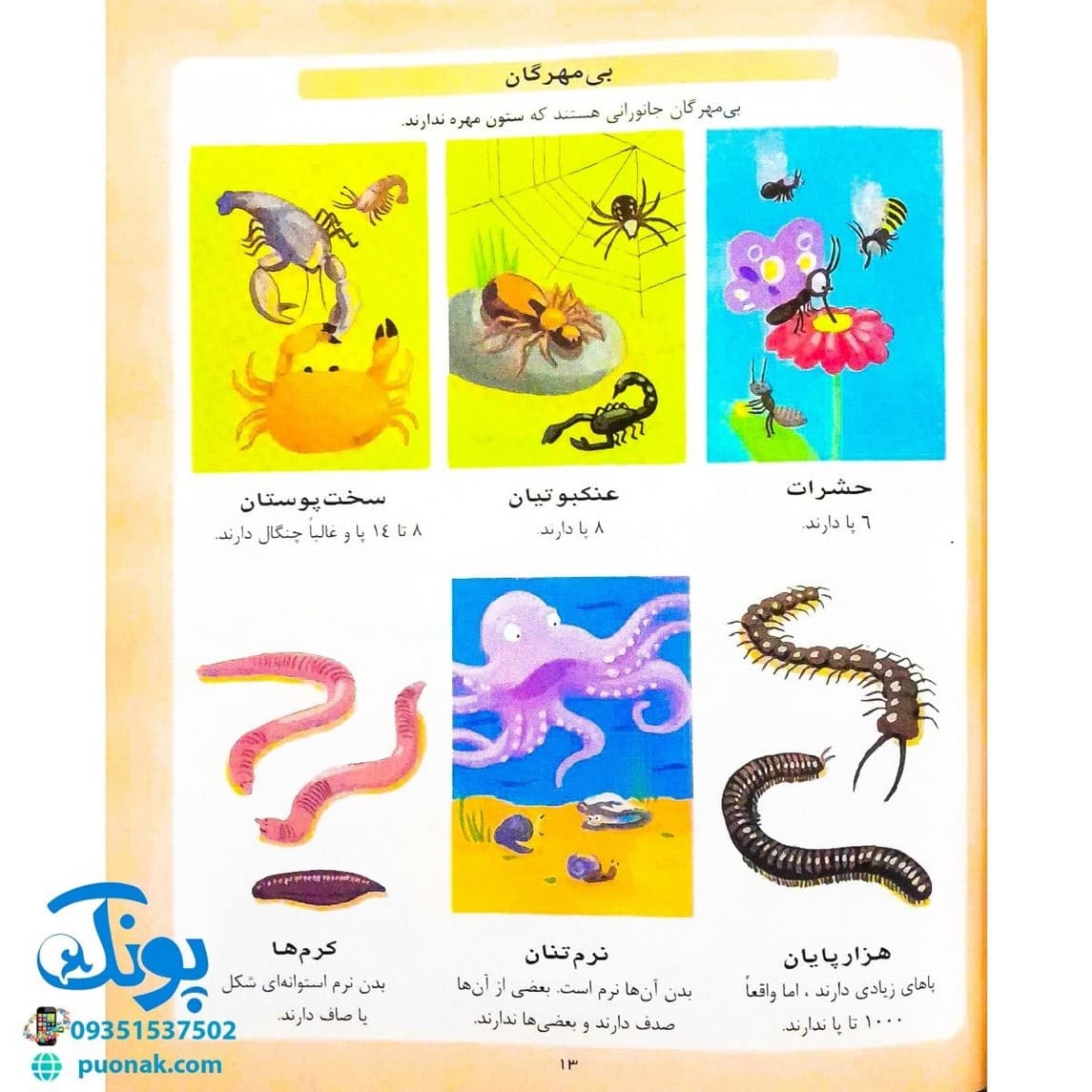 کتاب دایره المعارف علوم (کتاب های مرجع) — تصویر ۴