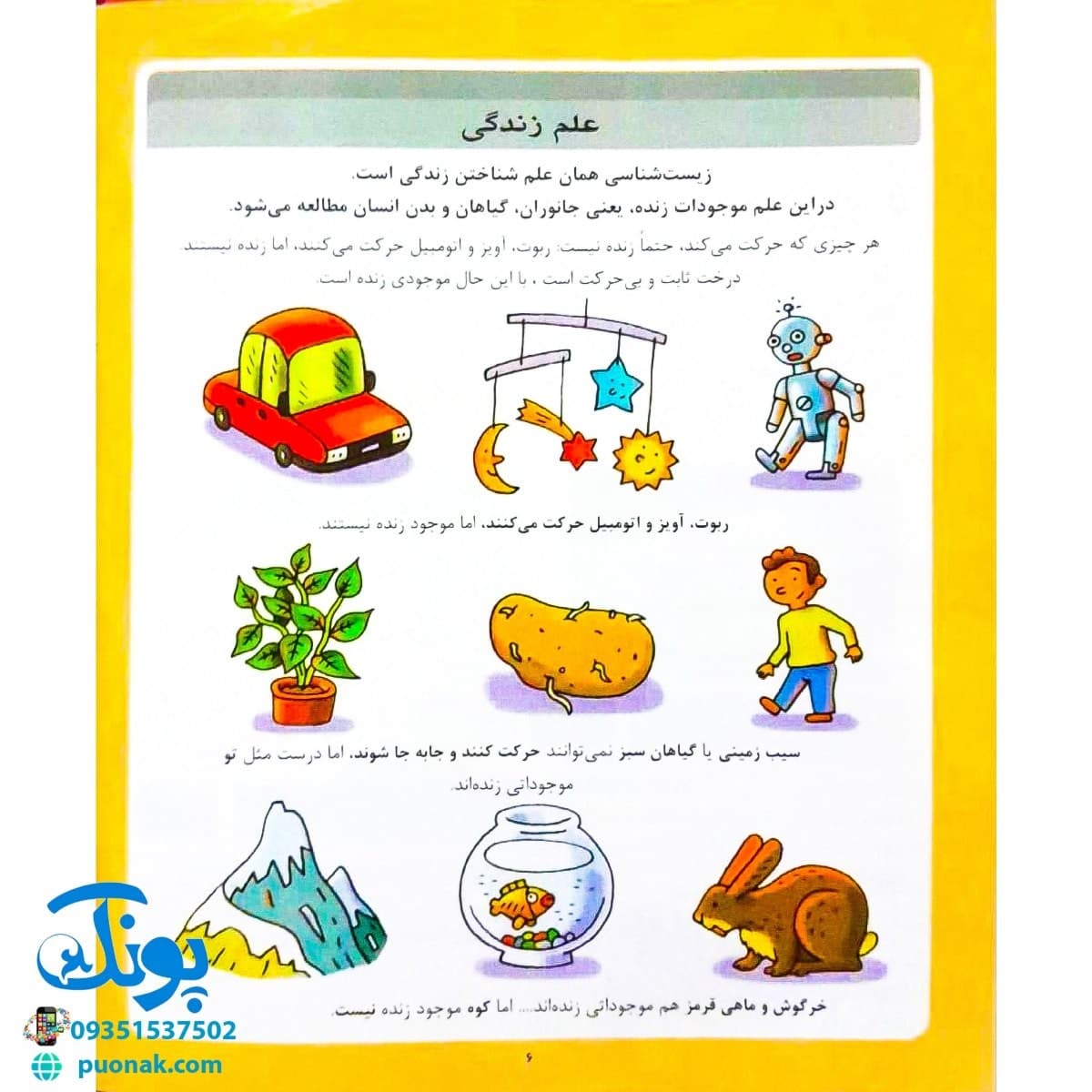 کتاب دایره المعارف علوم (کتاب های مرجع) — تصویر ۳