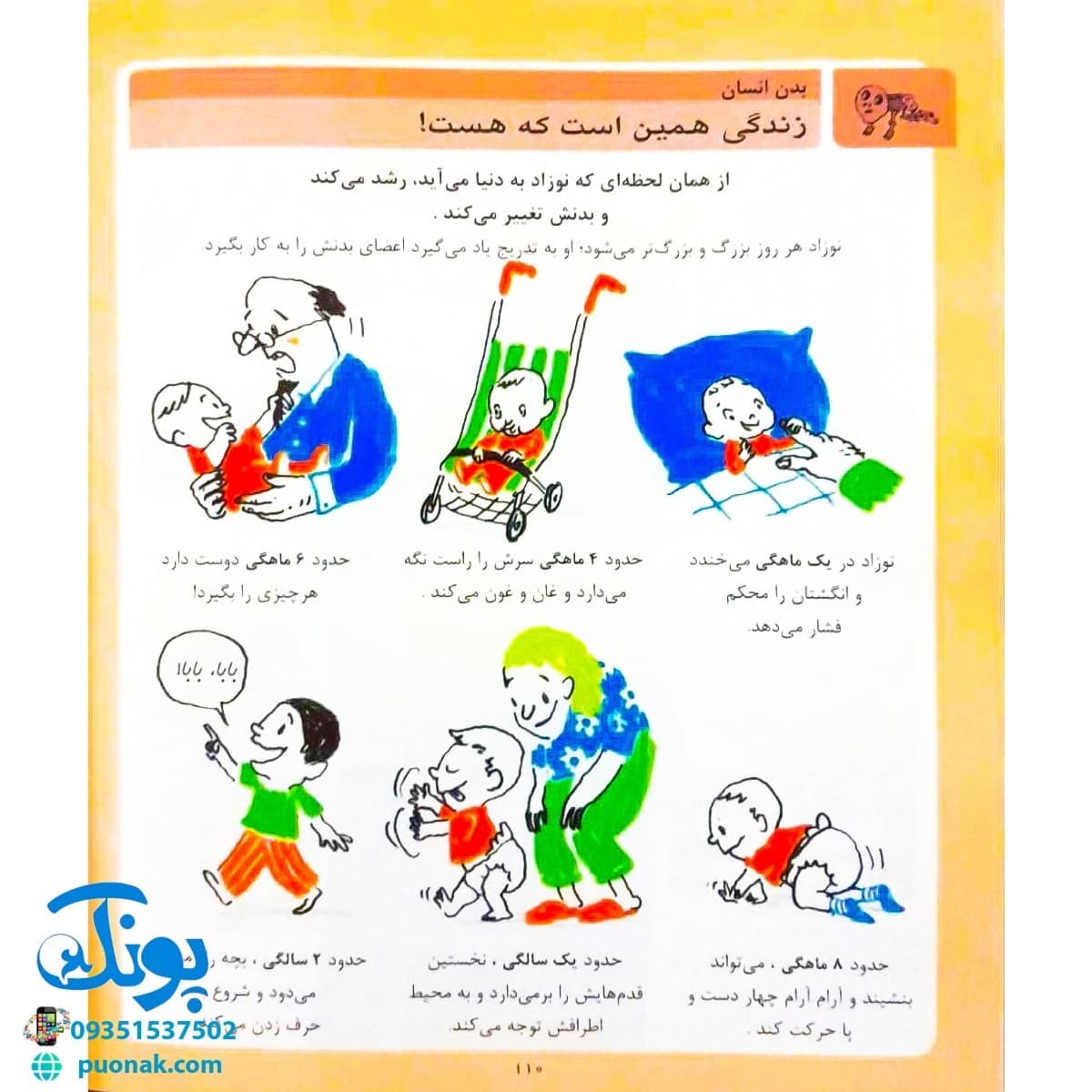 کتاب دایره المعارف علوم (کتاب های مرجع) — تصویر ۷