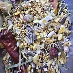 غذای عروس هلندی کوتوله طوطیسانان مرغ عشق مخلوط بسته 500گرمی (ارسال پس کرایه ) — تصویر ۲