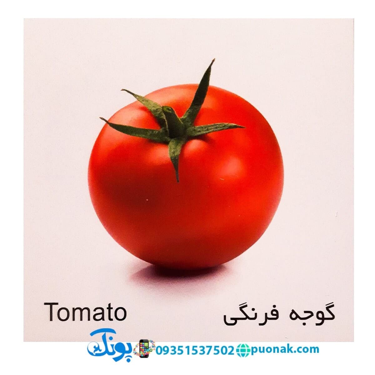 کارت پازل صیفیجات — تصویر ۵