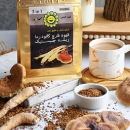 قهوه فوری گانودرما جینسینگ نورا بدون شکر 360گرمی — تصویر ۲