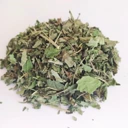 دمنوش ملیس (بادرنجبویه) اوسینا — تصویر ۲