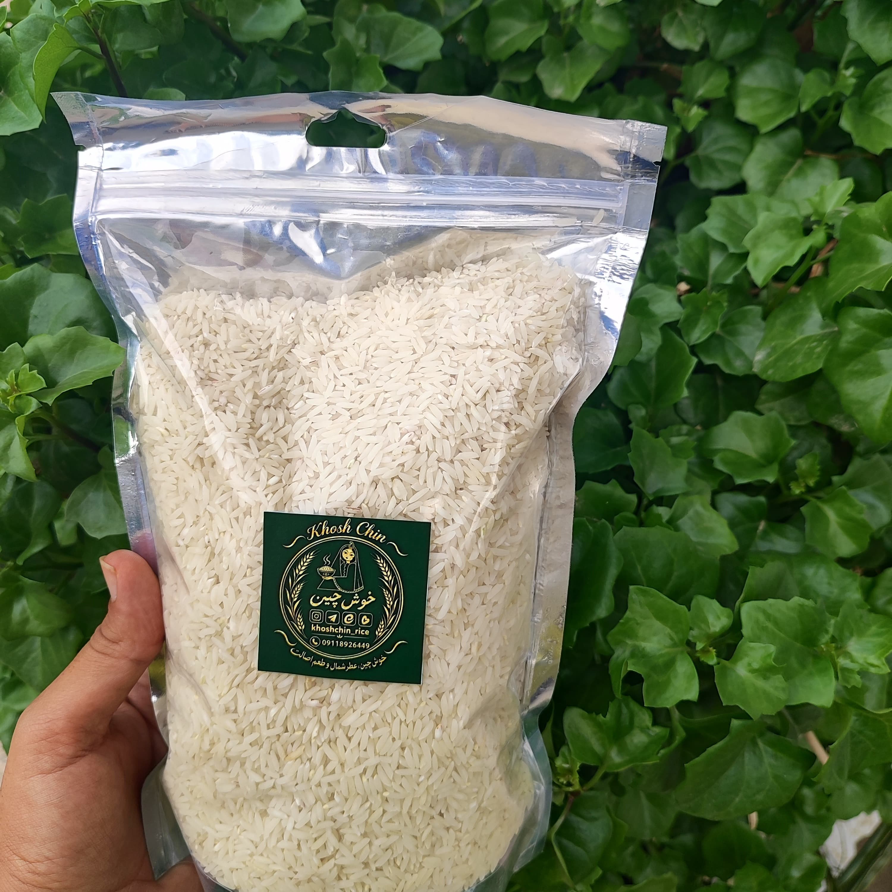برنج طارم هاشمی اصل بسته تست برنج خوش چین 500 گرمی