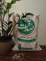 برنج طارم هاشمی (500کیلویی) کشت اول غربال شده صداقت — تصویر ۲