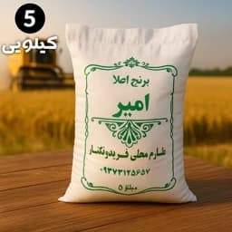برنج طارم محلی فریدونکنار امساله (5 کیلویی) ارسال رایگان — تصویر ۲