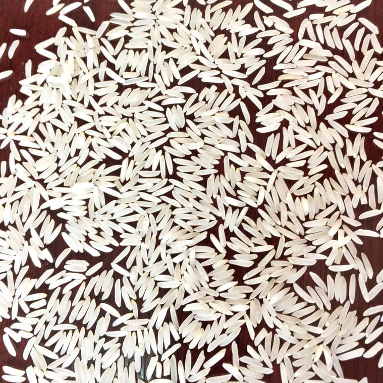 برنج فجر سوزنی گرگان