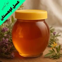 عسل طبیعی و درمانی کوهستان - با ضمانت مادام العمر (نیم کیلویی) — تصویر ۲