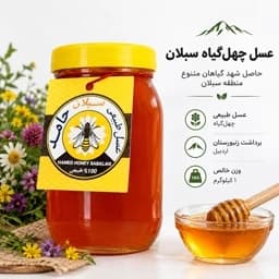 عسل چهل گیاه سبلان 1 کیلویی/زنبورستان اردبیل — تصویر ۲