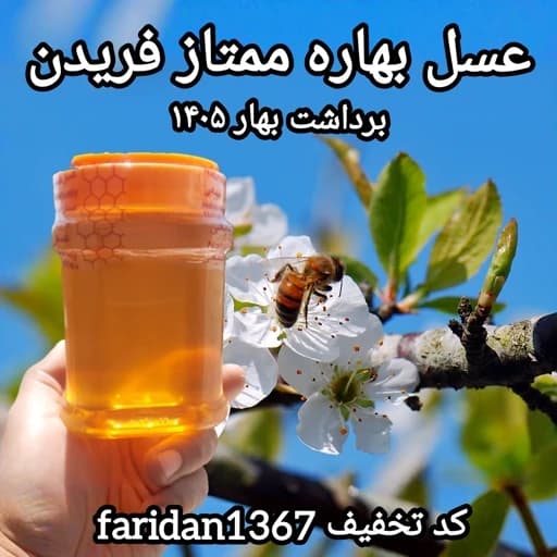 عسل بهاره فریدن 1کیلویی دشتی اصل(ارسال رایگان با خرید 2م از غرفه)