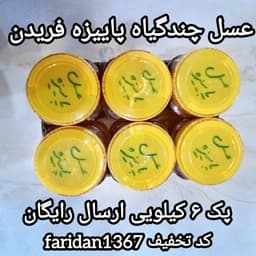 عسل چندگیاه پاییزه فریدن 6تا 1کیلویی اصل(ارسال رایگان) — تصویر ۲