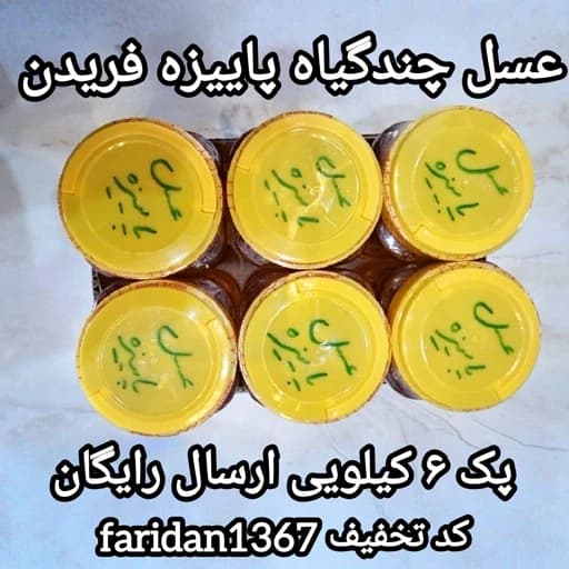 عسل چندگیاه پاییزه فریدن 6تا 1کیلویی اصل(ارسال رایگان)