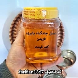 عسل چندگیاه پاییزه فریدن 1کیلویی دشتی اصل(ارسال رایگان با خرید2 م از غرفه) — تصویر ۲