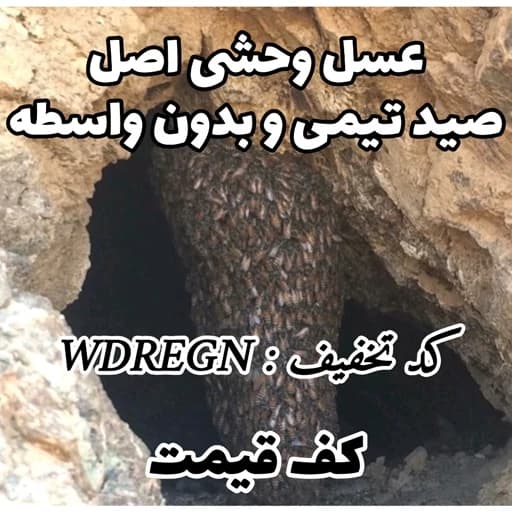 عسل طبیعی شهد وحشی کوهی صخره ای درمانی اصل 1 کیلویی(بهترین عسل ما،کف قیمتی)(خرید مستقیم و بدون واسطه)ارسال رایگان با2م