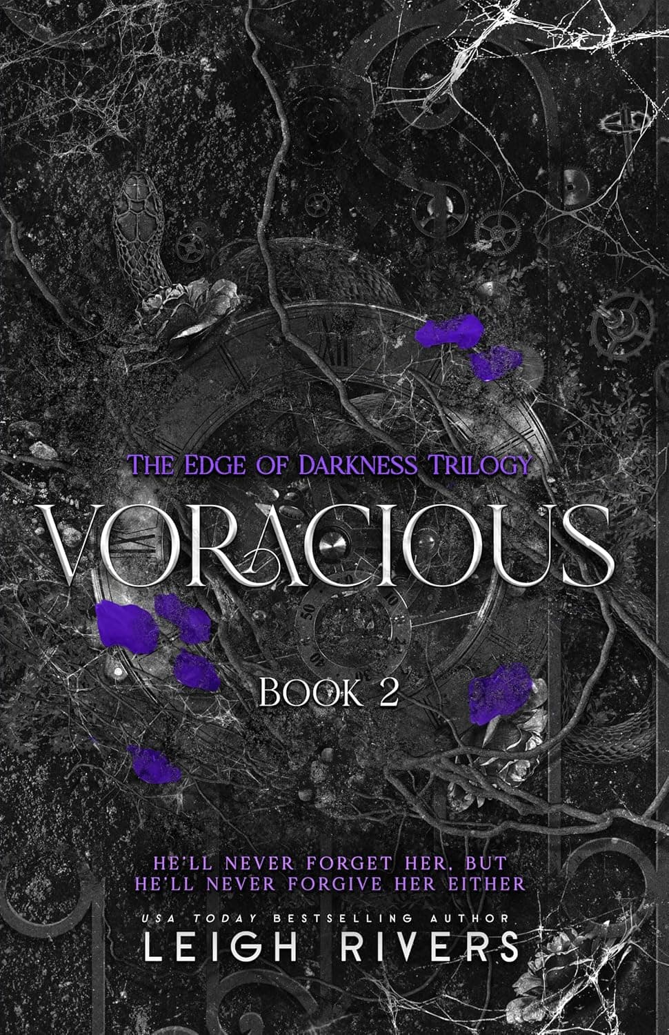 کتاب Voracious (The Edge of Darkness Trilogy Book 2) اثر Leigh Rivers | نسخه انگلیسی