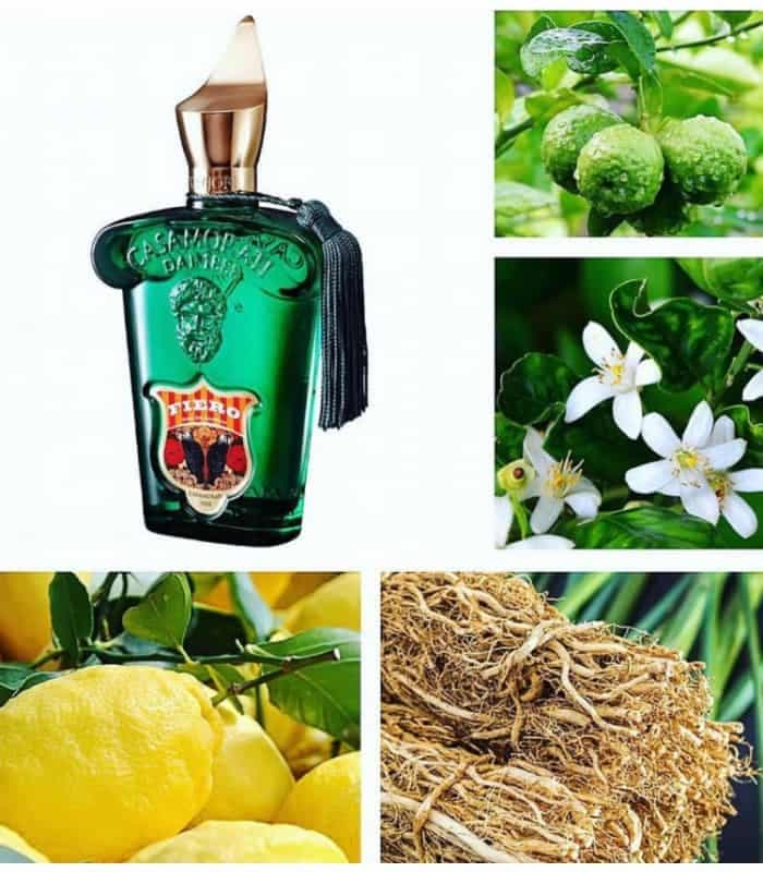 ادو پرفیوم مردانه XERJOFF Fiero حجم 100 میلی لیتر — تصویر ۳