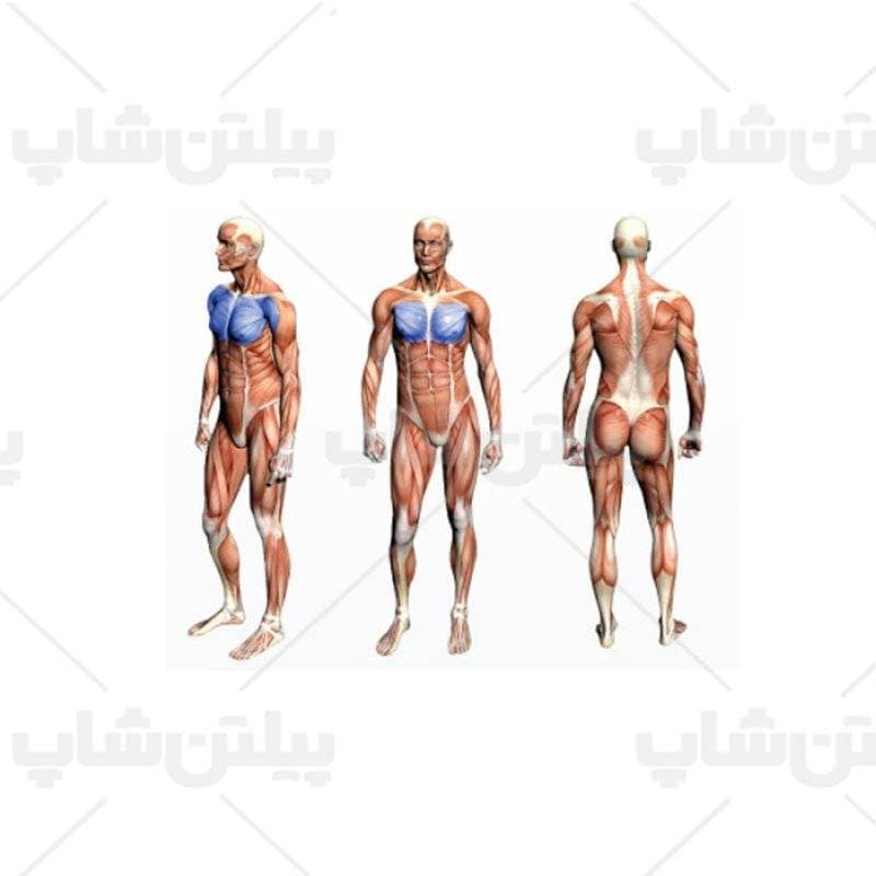 دستگاه پروانه آلجا اسپرت ALJA SPORT GS303 — تصویر ۲