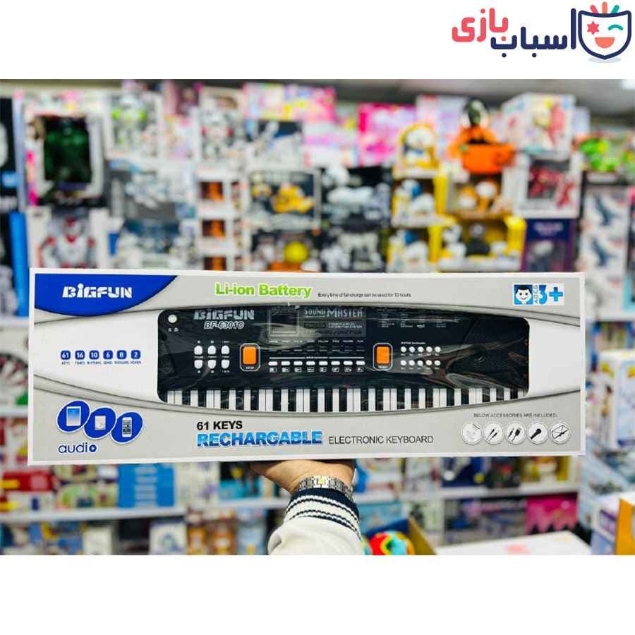 ارگ بیگ فان 6301 — تصویر ۴