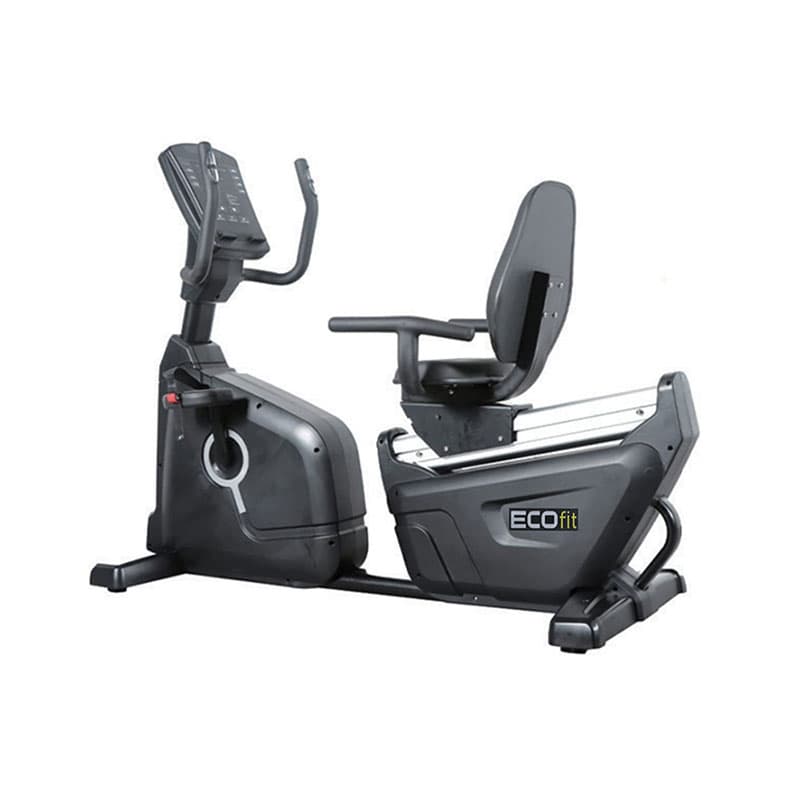 دوچرخه ثابت پشتی دار باشگاهی اکوفیت 9500