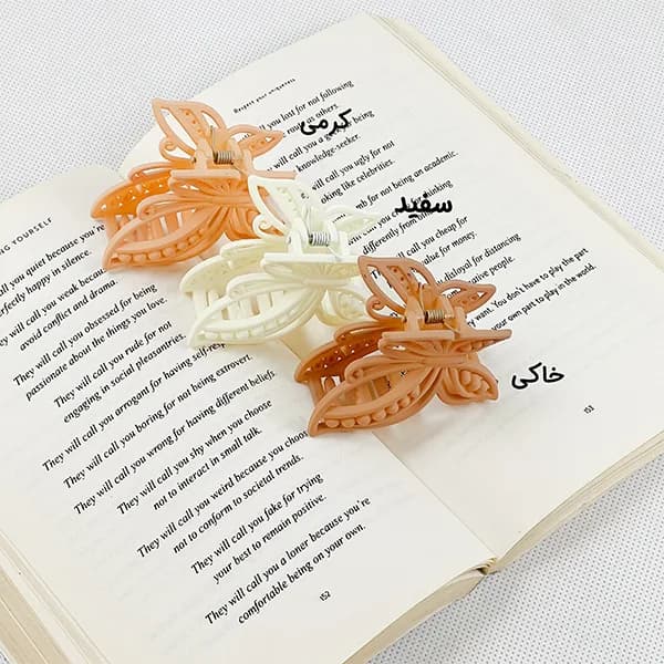 کلیپس پروانه کوچک — تصویر ۶