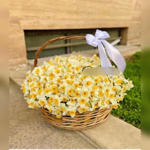 سبد گل نرگس برای جشن تولد در تابستان 105
