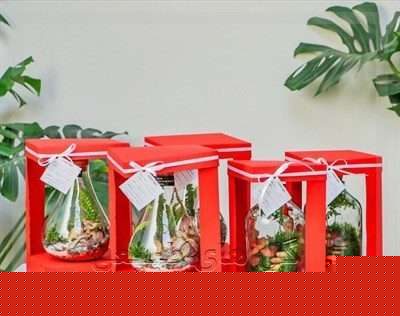 ارسال دسته گل برای دفتر استخدام دیجی کالا کرج