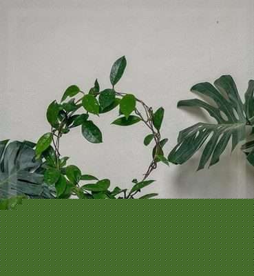 ارسال دسته گل برای دفتر دکتر عباسی نماینده کرج