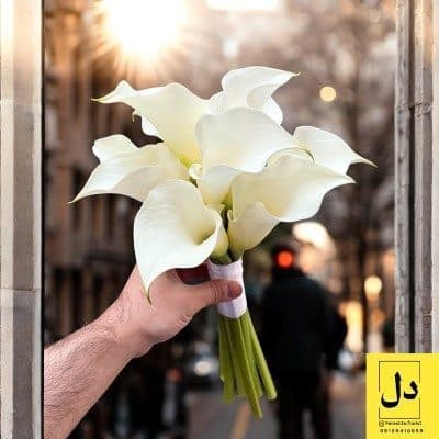 ارسال دسته گل برای دانشگاه علمی کاربردی فردیس کرج