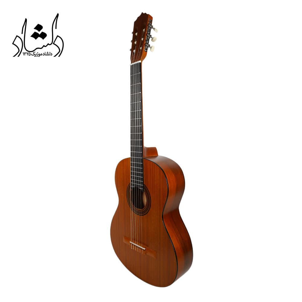 گیتار متاع پور +mat2 (مت دو پلاس) — تصویر ۳