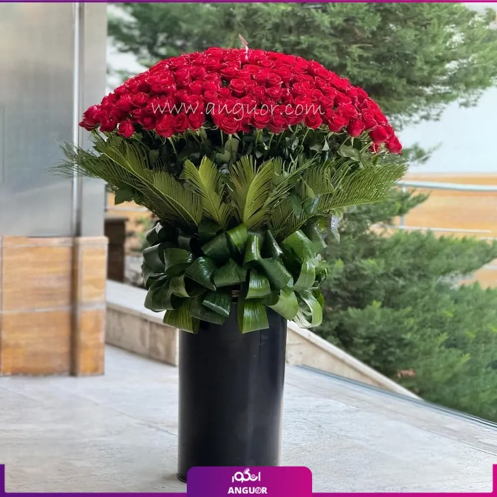 جام گل رز زمزمه عاشقانه