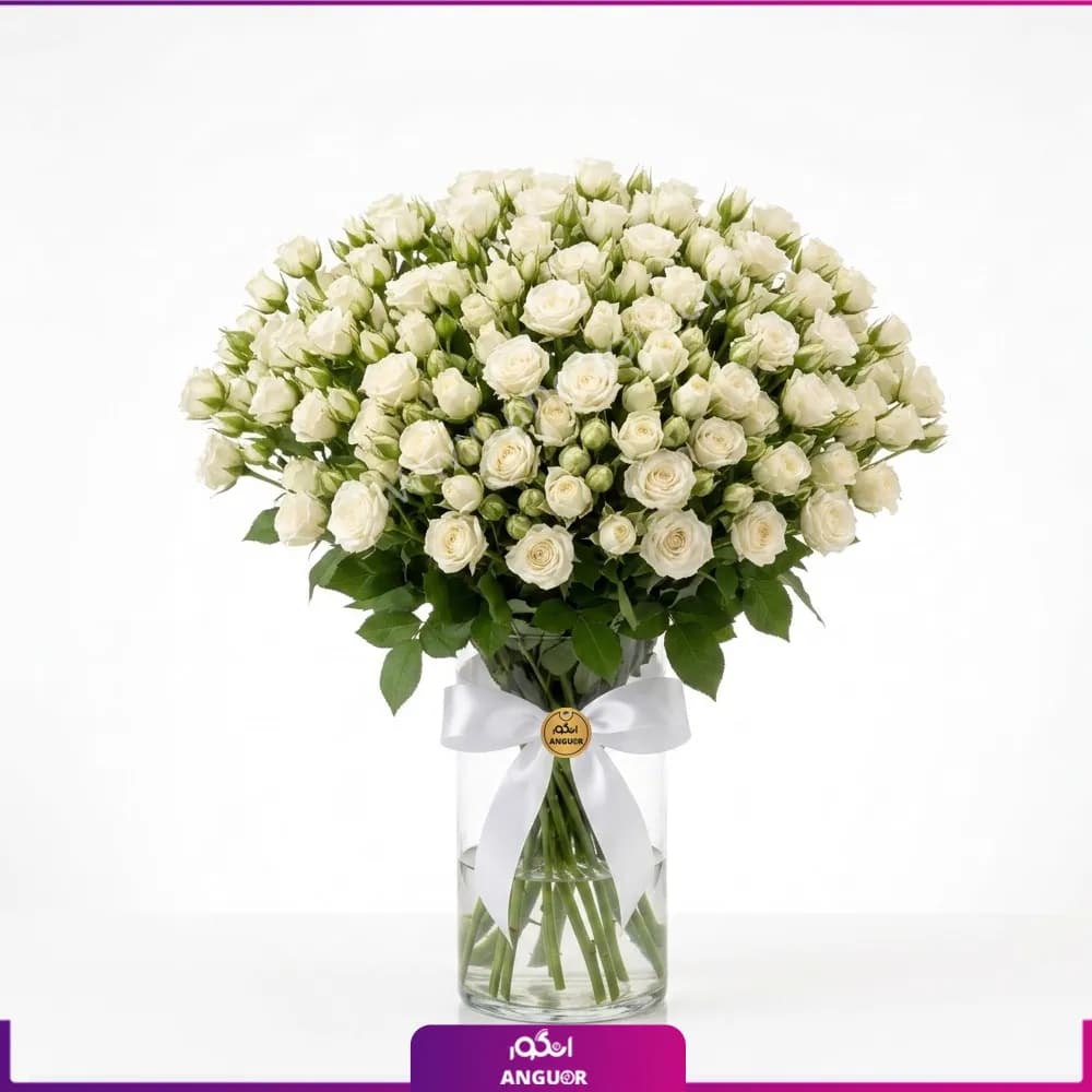 جار گل رز مینیاتوری سفید