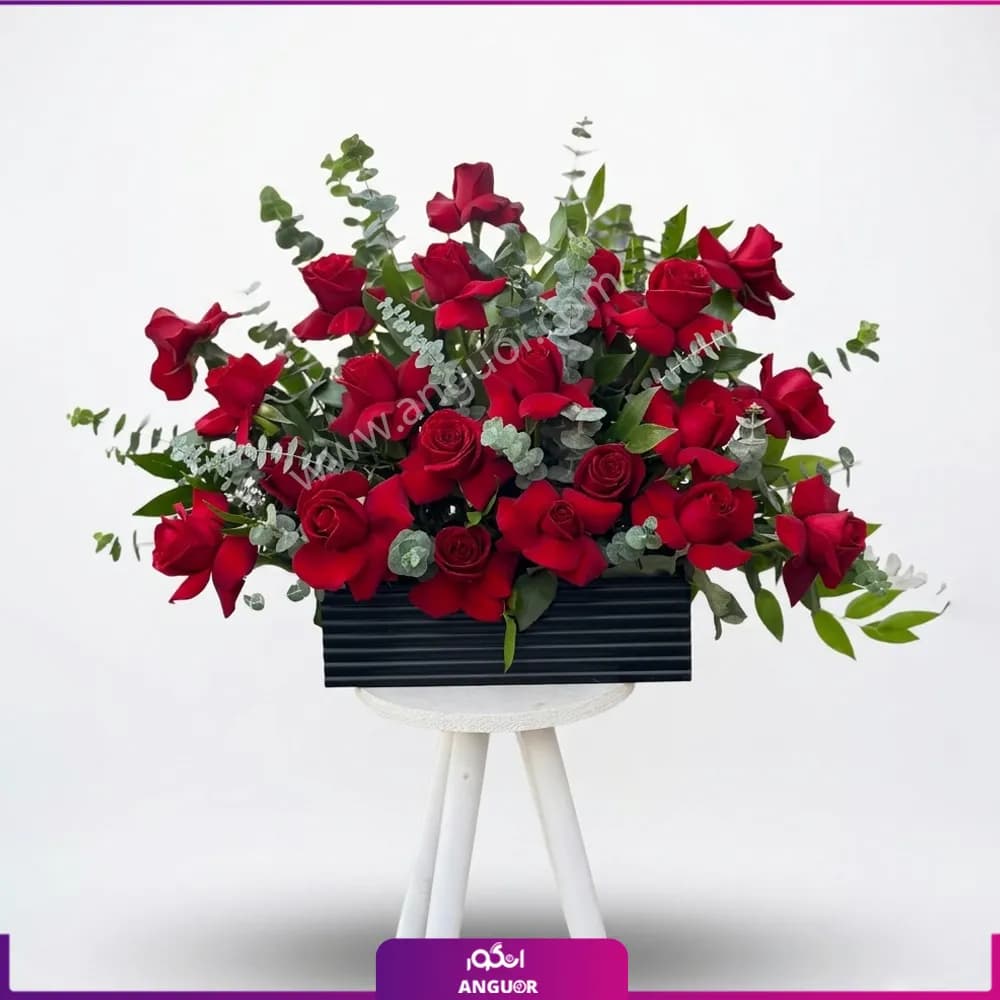 باکس گل رز قرمز لاکچری (24 شاخه)