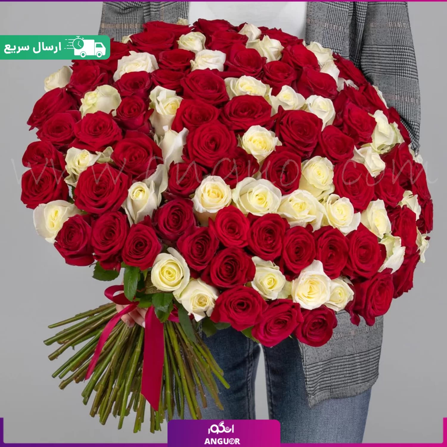 دسته گل بزرگ رز سفید و قرمز هلندی – ۱۵۰ شاخه