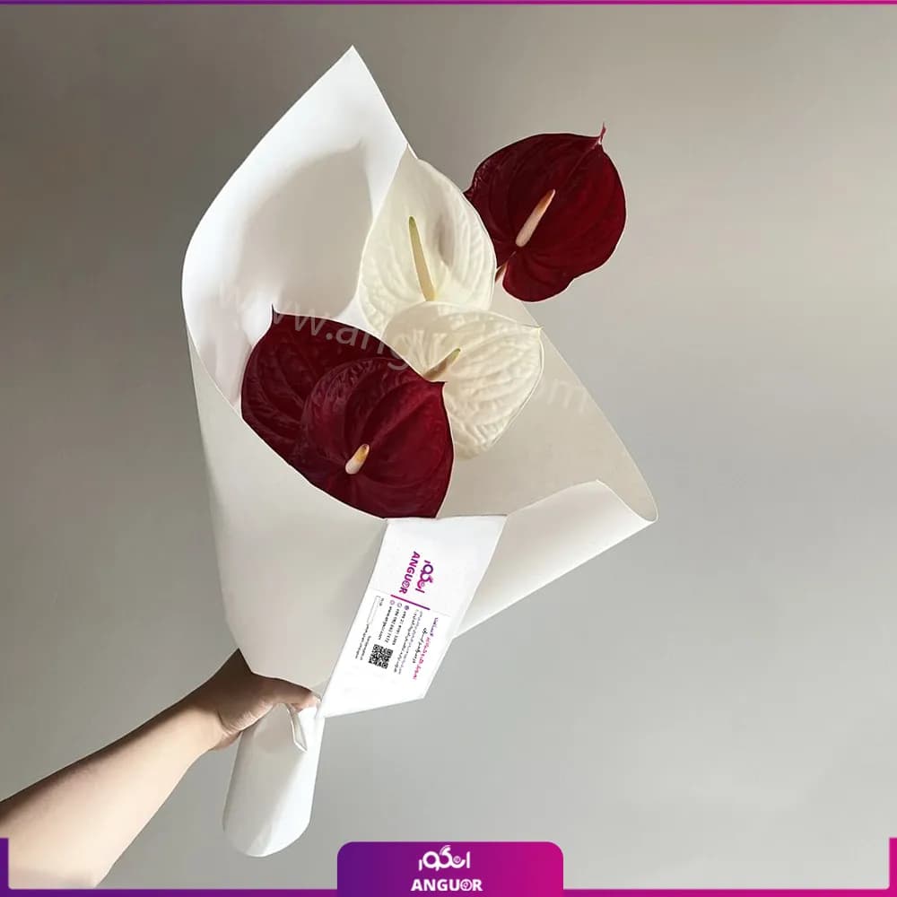 دسته گل 4 شاخه آنتوریوم