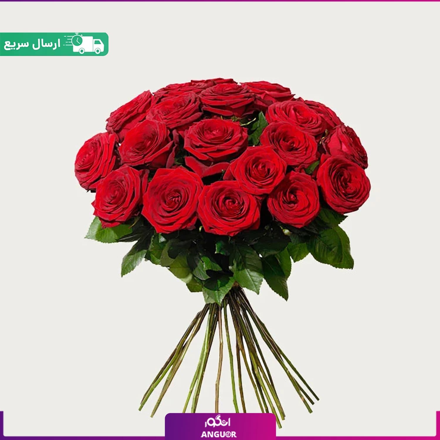دسته گل 28 شاخه رز قرمز ممتاز (رز هلندی) — تصویر ۲